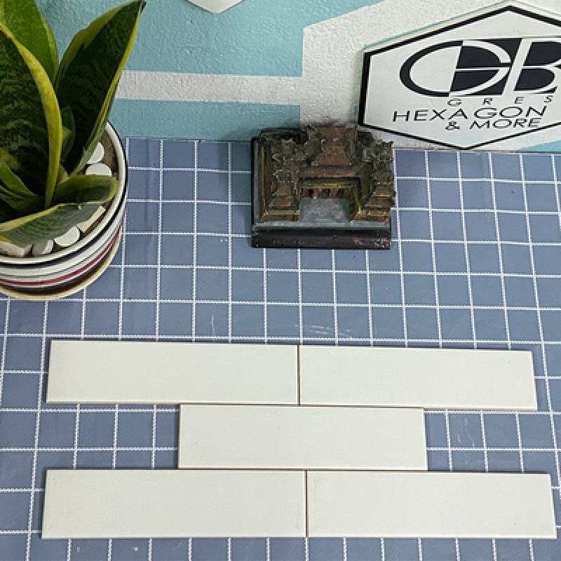 Gạch Thẻ 50x200mm Mờ Phẳng Màu Trắng Mã PSTA50206