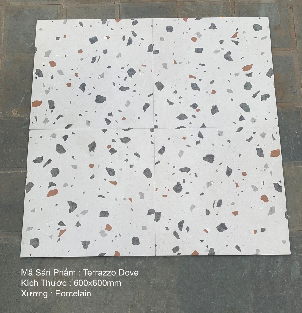 Gạch Ấn KT 600x600mm Terrazo Dove