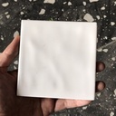 Gạch thẻ 100x100 loại ưu mã WH0404P_S