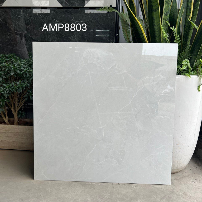Gạch ốp lát KT 800x800mm Men bóng mã AMP88003