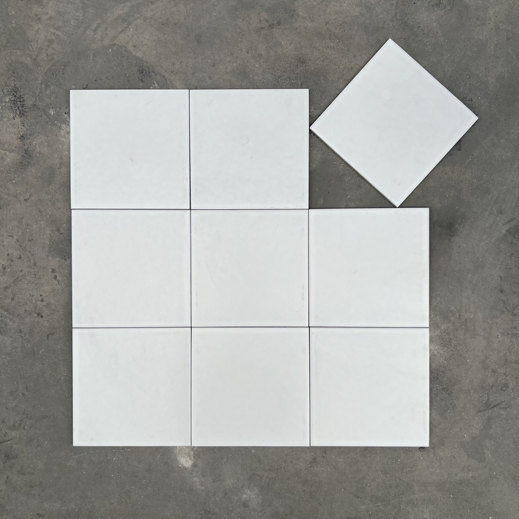 Gạch Bông trắng KT 200x200mm mã NT2200 (BDT) 1h/1,2m/30v