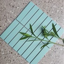 Gạch Mosaic que xanh mint KT 32x145mm mã DS305 (Y33F825) (1h/1.68m/20vi)
