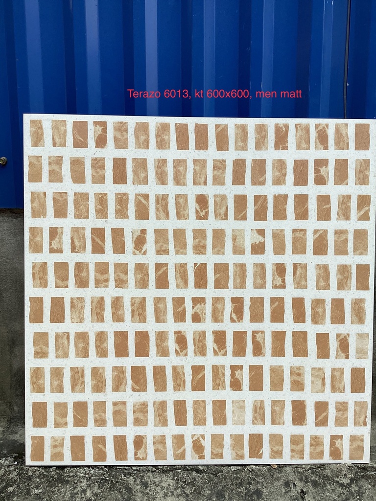 Gạch Terazo KT 600x600mm men matt mã 6013