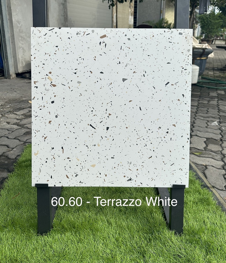 Gạch Terazo Ấn KT 600x600mm White