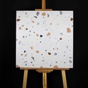 Gạch Terrazzo KT 600x600mm DS66007 