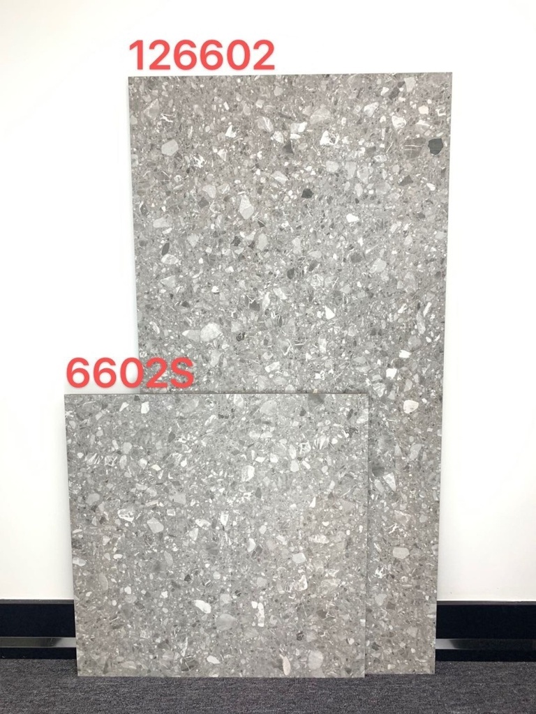 Gạch Terrazzo KT 600x600mm 6602S