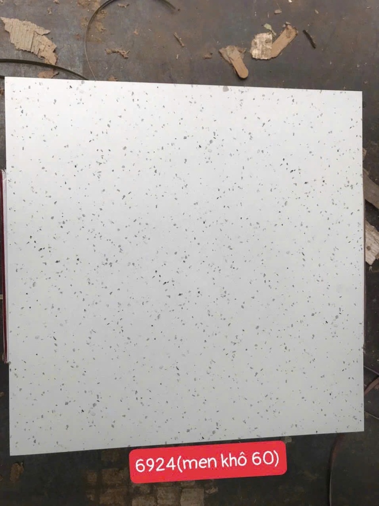 Gạch Terrazzo KT 600x600mm 6924
