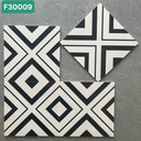 Gạch bông 300x300 mã F30009 HN (1h/1m/11v)