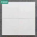 Gạch bông 300x300mm mã F30000  (1h/1m/11v)