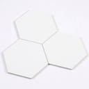 Gạch lục giác trắng KT 200x230x115mm FL23200