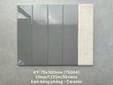 Gạch thẻ cao cấp nâu nhạt bóng phẳng KT 75x300mm PSTA75304