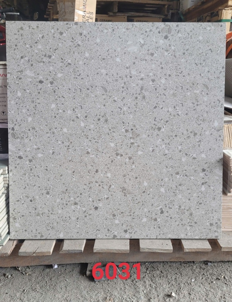 Gạch Terrazzo 600x600 Mã 6031/67055