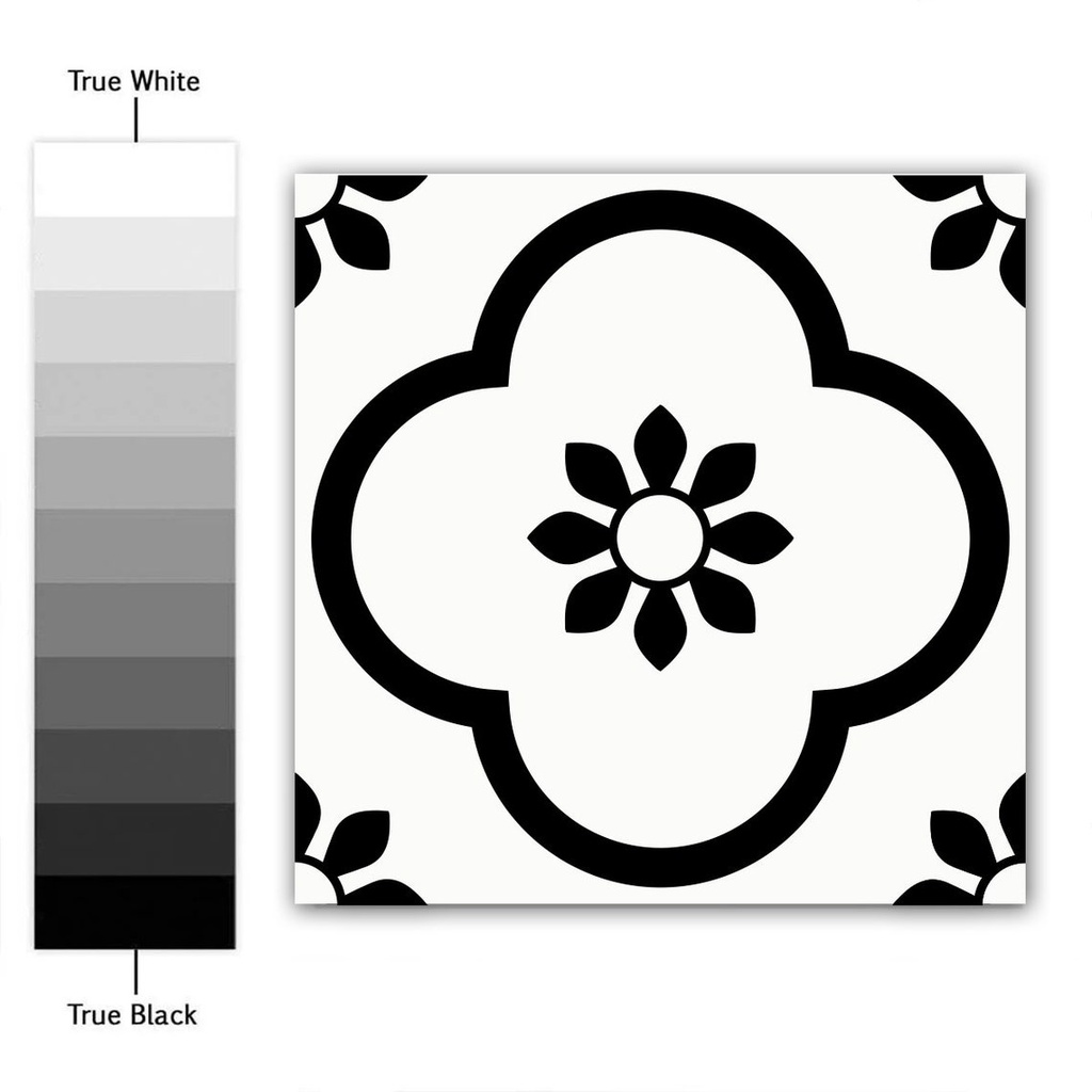 Gạch Bông KT 200x200mm F2086 (DC236) 