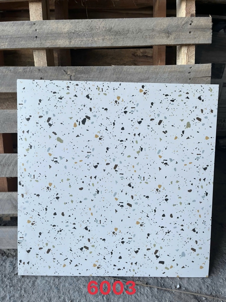 Gạch Terrazzo KT 600x600mm DS6003