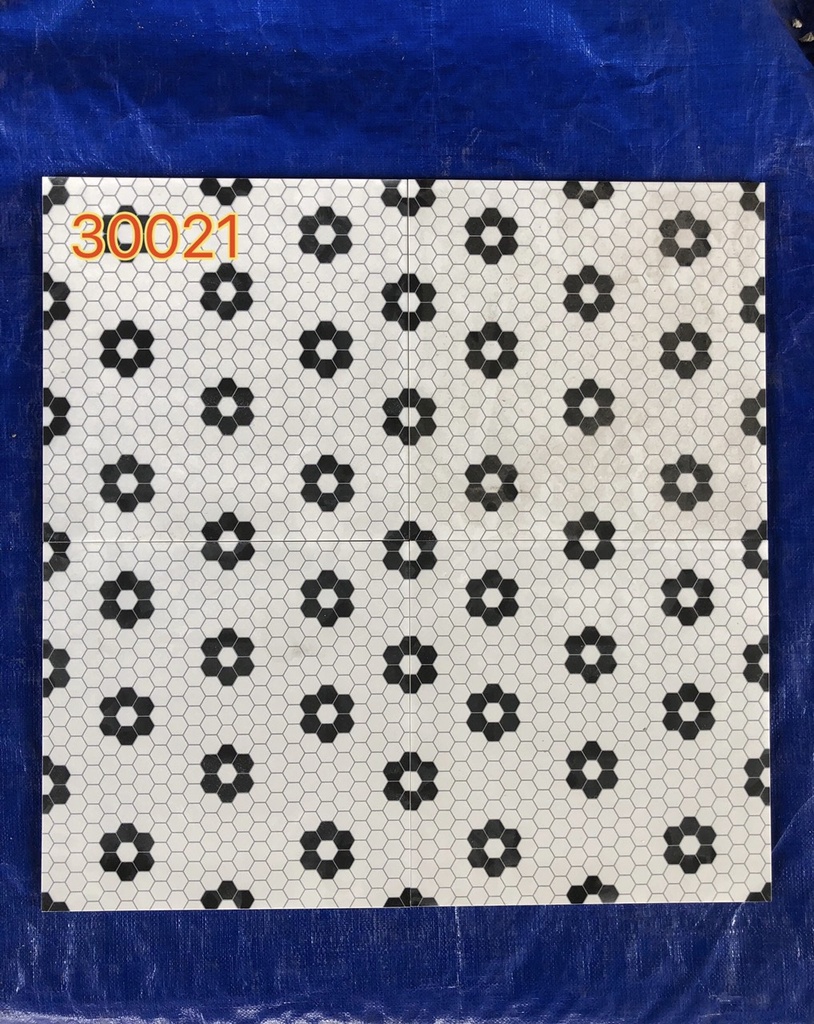 Gạch bông 300x300 mã 30021