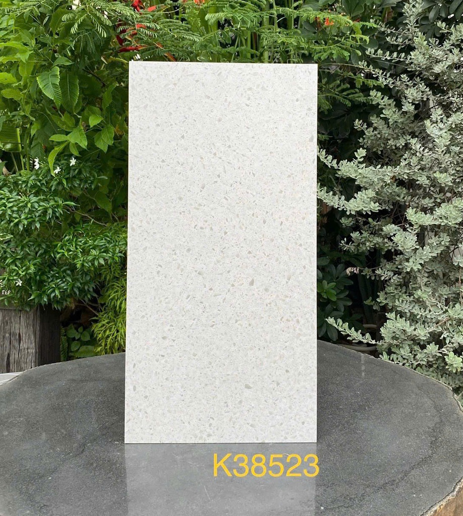 Gạch Terrazzo 30x60 38523