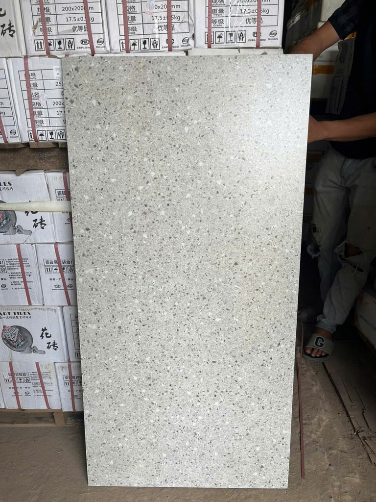 Gạch terrazzo 60x120cm mã H6010