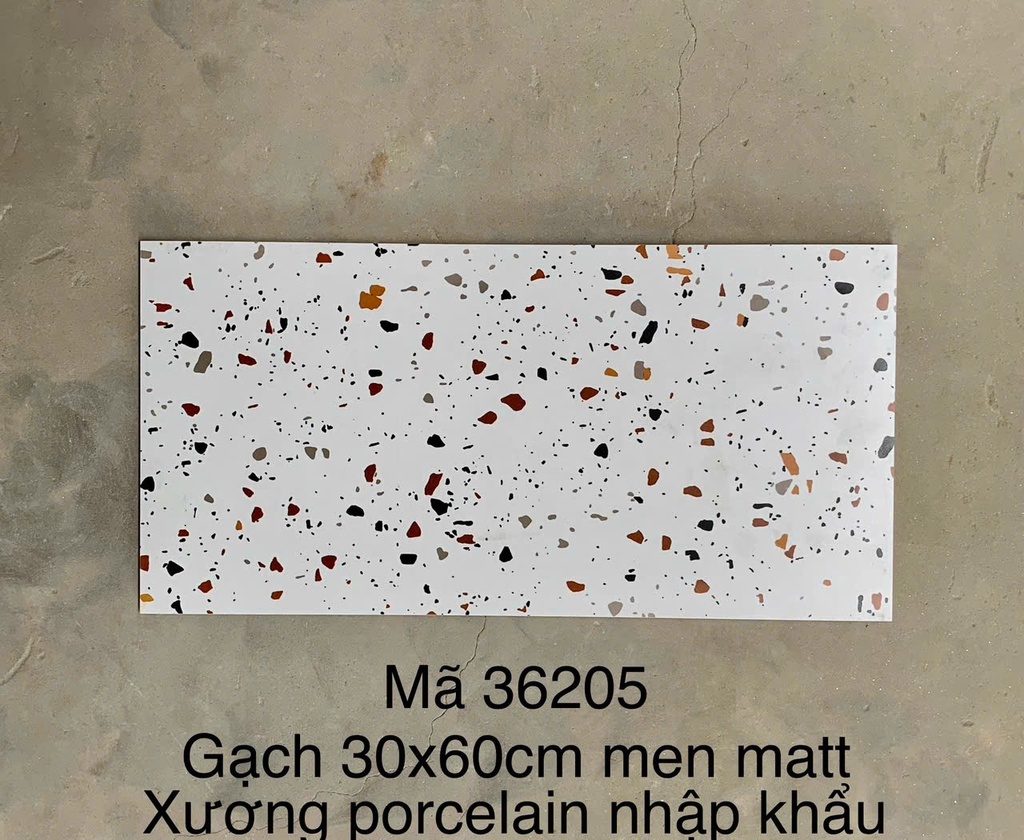 Gạch Terrazo porcelain men matt  300x600mm (36205)