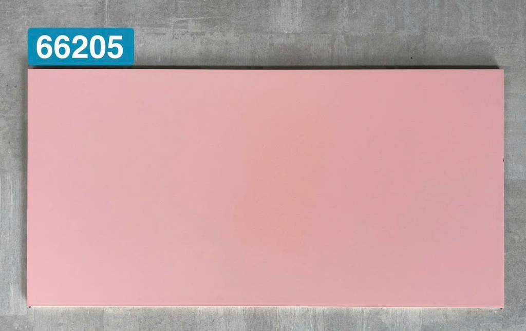 Gạch men mờ 30x60 mã 66205