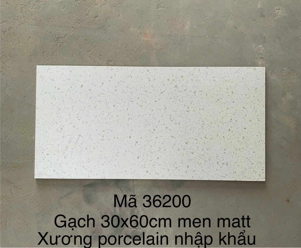 Gạch Terrazo porcelain men matt 300x600mm (1h/1.44m/8v)
