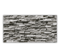 Gạch Ốp Tường Giả Đá Nhập Khẩu Ấn Độ kt 300x600mm Mã Fornodo Grey Dark