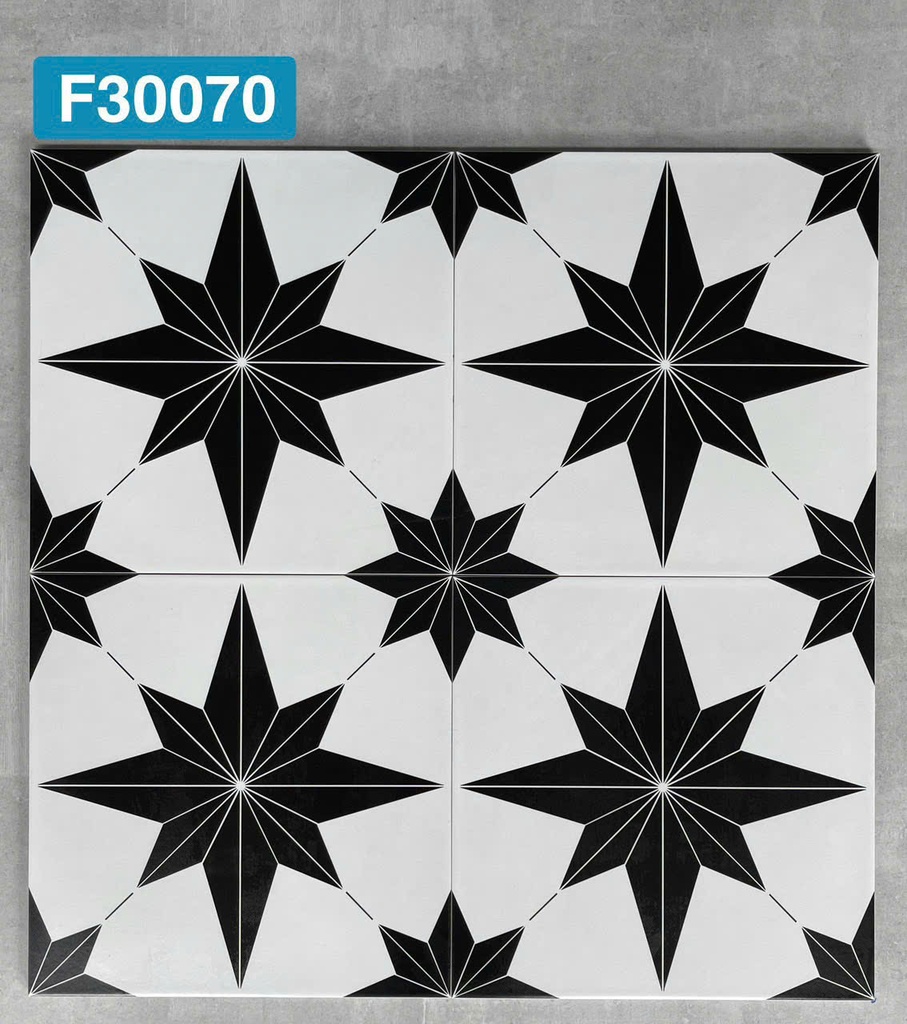 Gạch bông Trung Quốc, men mờ xương porcelain, KT 300x300mm, F3070 (1 hộp/11 viên/1m2)