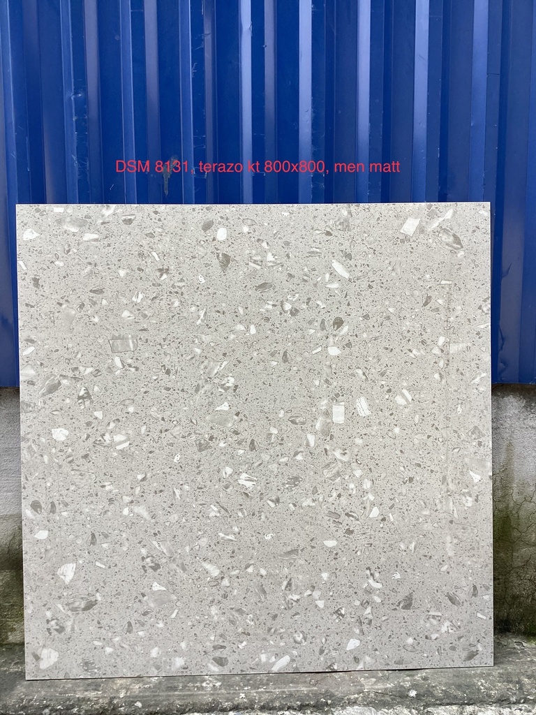 Gạch Terrazzo KT 800x800mm mã DSM8131 