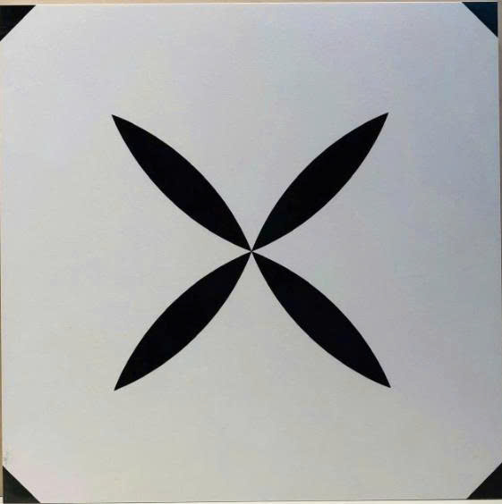 Gạch bông Trung Quốc, men mờ xương porcelain, KT 40x40, MF4045( FG4288) (1 hộp/10 viên/1,6m2)