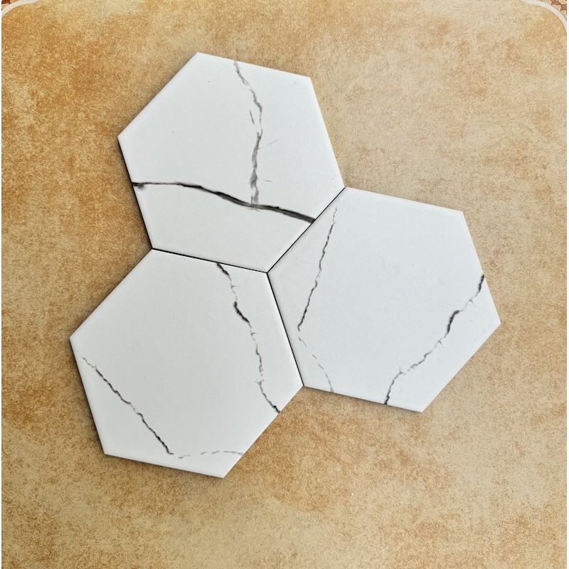Gạch Bông Lục Giác 200x230mm  SY 2001