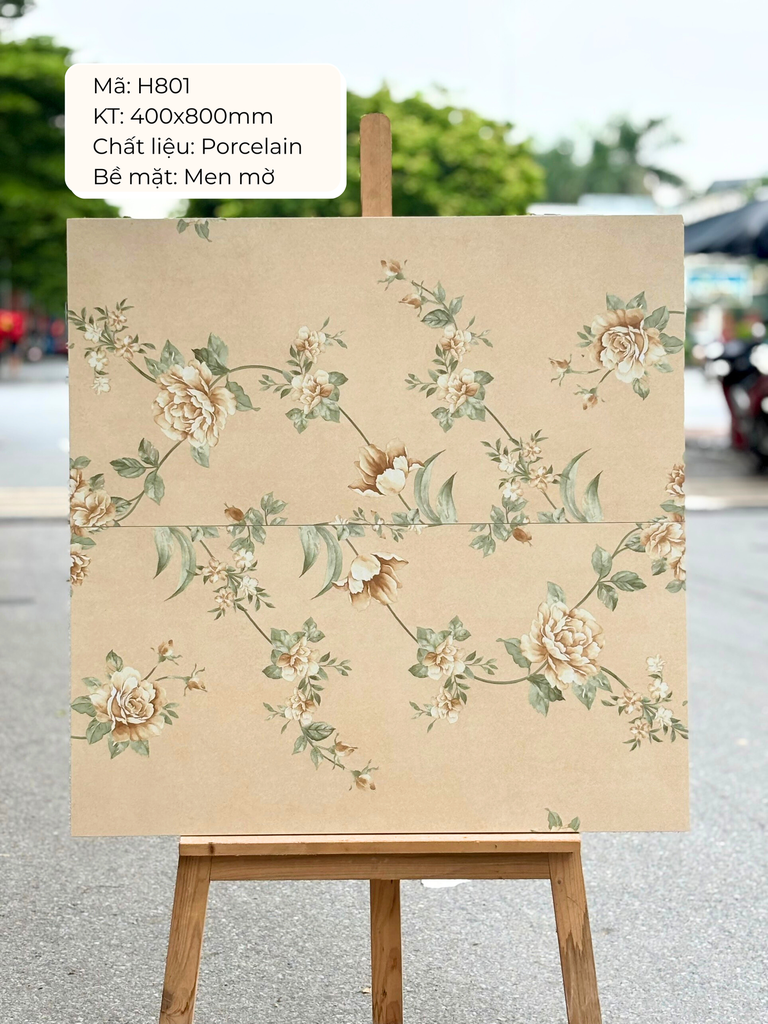 Gạch ốp lát 400x800 mã DS801 (1thùng/ 1.92m2/ 6v/ 36,5kg)