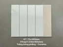 Gạch thẻ Việt Nam, Trắng bóng phẳng, KT 75x300 mm, CIC0312P/STA75300, Loại 1 (1 hộp/ 50 viên/ 1.125m2)