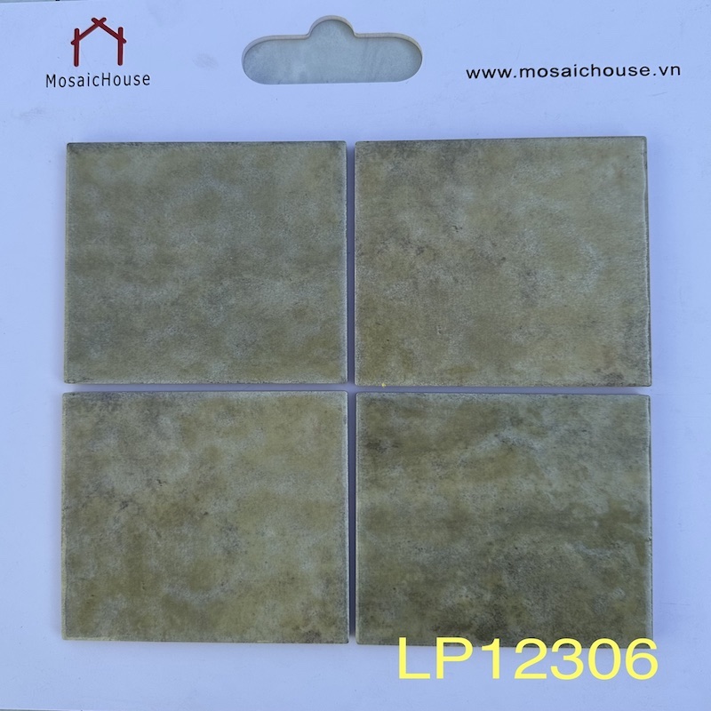Gạch Thẻ Gợn Sóng 123x123  LP12306