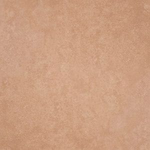 Gạch lát nền taicera 30×30 g38933nd