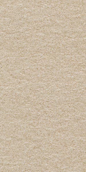 Gạch lát nền taicera 30×60 g63522