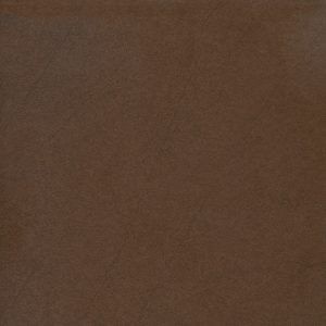 Gạch lát nền taicera 60×60 g68911