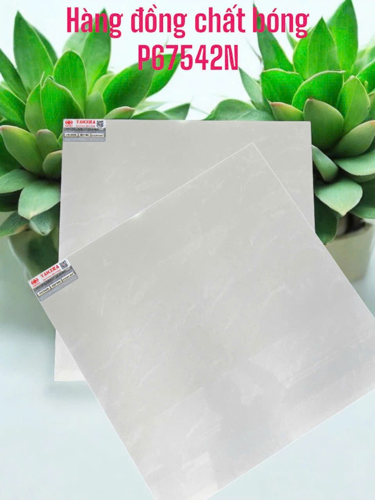 Gạch lát nền taicera 60×60 P67542N 