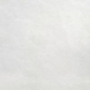 Gạch lát nền taicera 60×60 p67662n