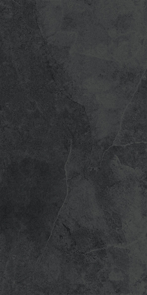 Gạch lát nền taicera 60×120 g12529jdd