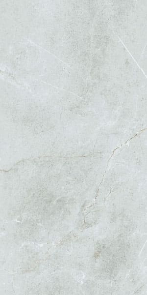Gạch lát nền taicera 60×120 gp12848