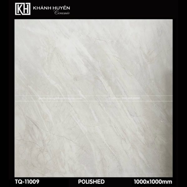 Gạch ốp lát 1000×1000 TQ-11009