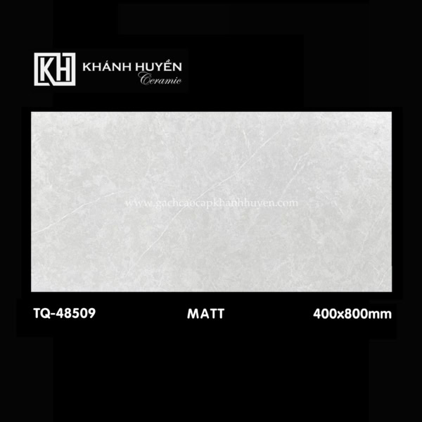 Gạch ốp lát 400×800 TQ-48509
