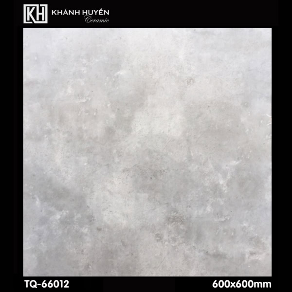 Gạch ốp lát 600×600 TQ-66012