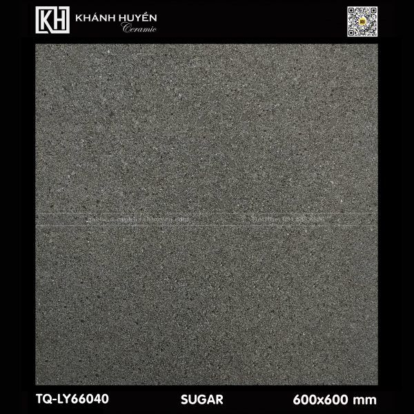 Gạch lát nền 600×600 TQ-LY 66040