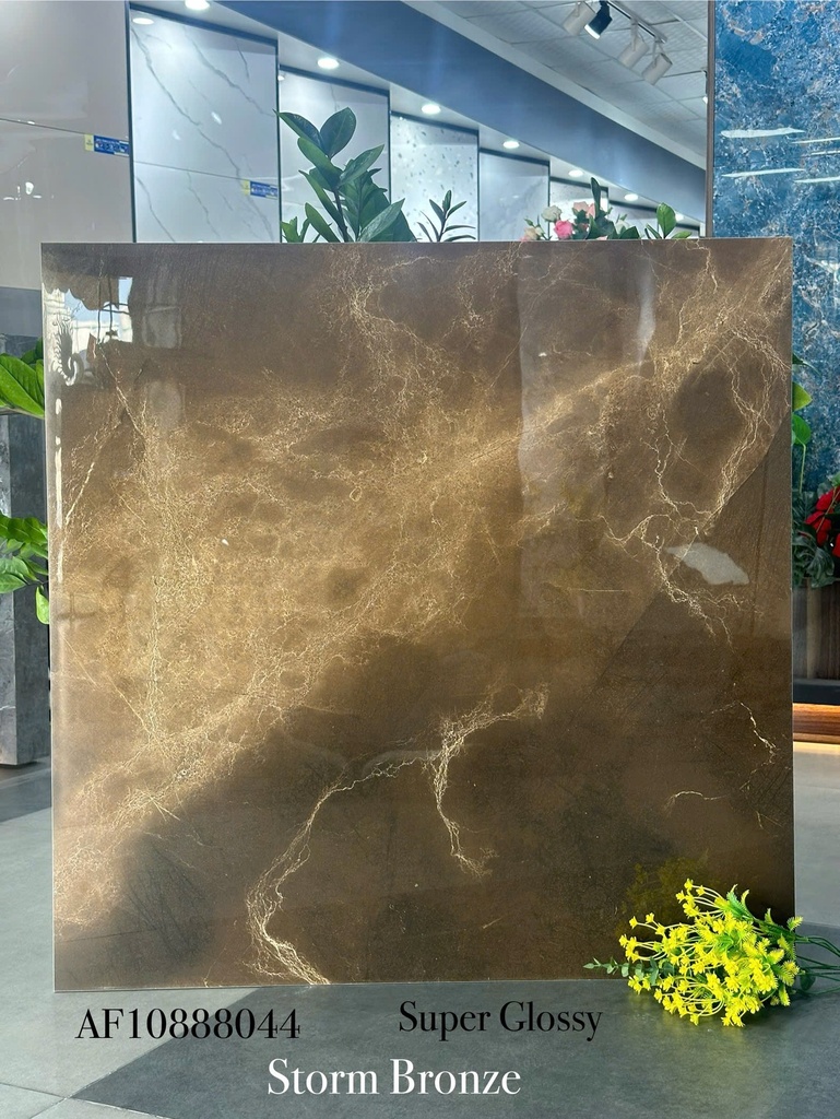 Gạch Apodio 80x80 AF.10.88.8044