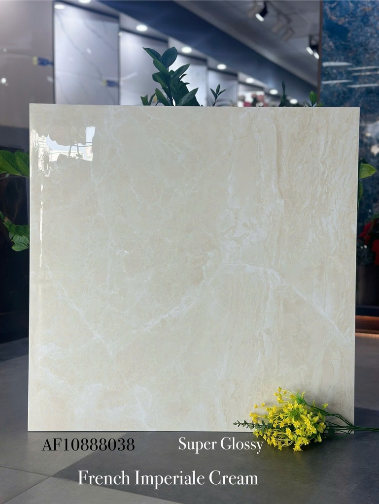 Gạch Apodio 80x80 AF.10.88.8038