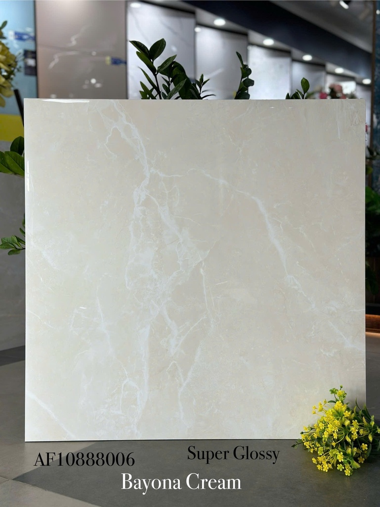Gạch Apodio 80x80 AF.10.88.8006