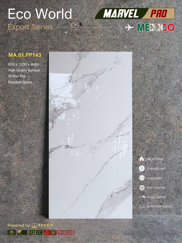 Gạch ốp lát Apodio MA.61.PP143