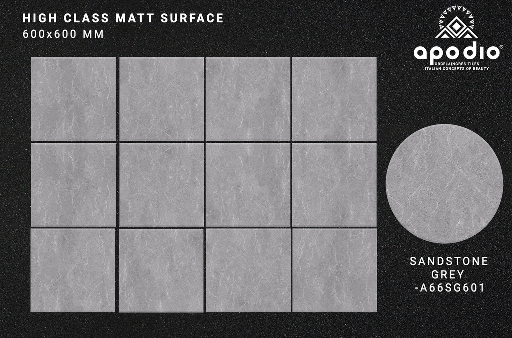 Gạch ốp lát Apodio A66SG601 (Matt tinh thể)