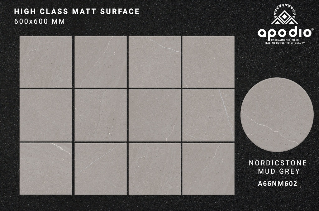 Gạch ốp lát Apodio A66NM602 (Matt tinh thể)