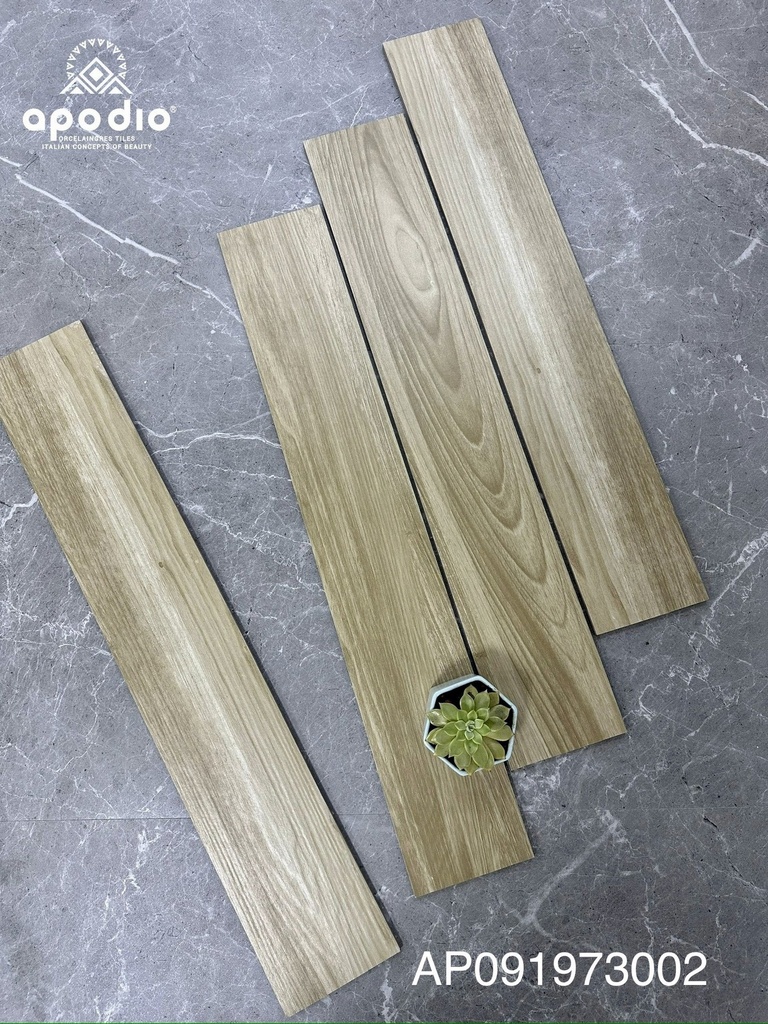 Gạch ốp lát Apodio AP 091973002 (15x90 cm)